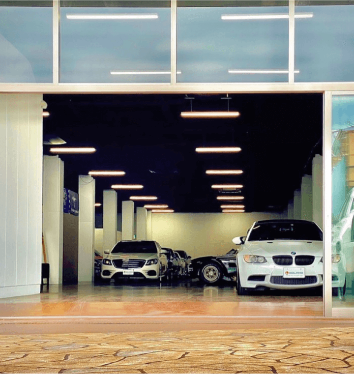 OFFICIAL SHOW ROOM